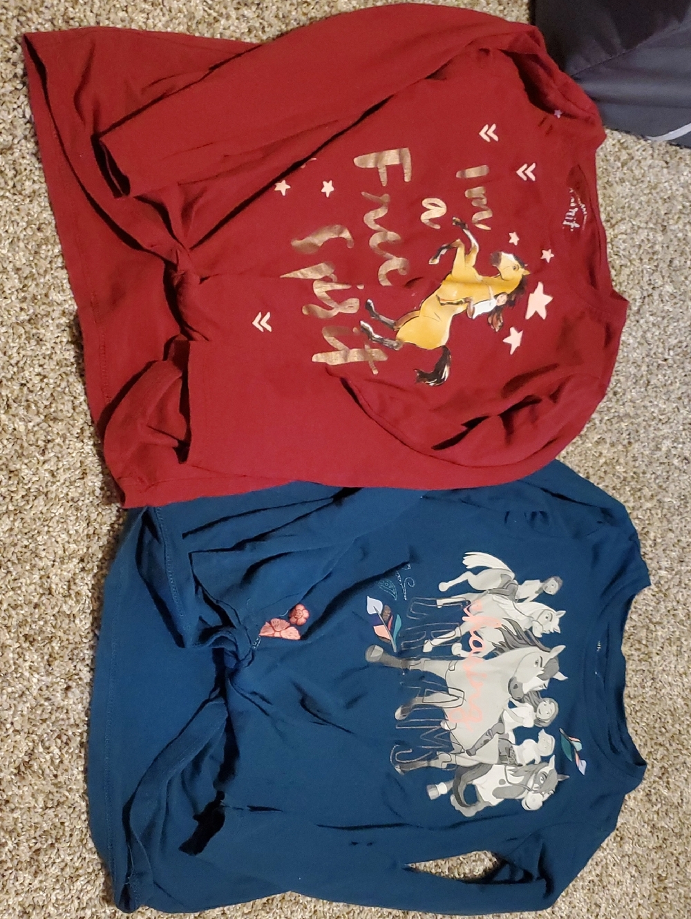 Spirit The Horse Long Sleeve Shirts